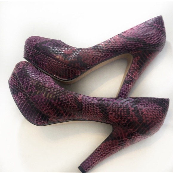 Madden Girl Shoes - Steve Madden Snake Print Shoes